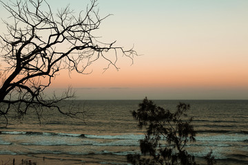 View of a typical Australian beach - Coolum Beach - during sunset with trees and orange sky without clouds (Sunshine Coast, Queensland, Australia)