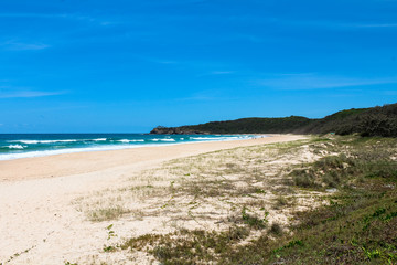 Fototapeta na wymiar Beautiful empty beach in Noosa National Park on a clear summer day with blue sky and white beach (Noosa Heads, Queensland, Australia)