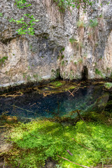 A pond with aquatic plants next to a cliff near Zlatna Panega River at Iskar-Panega Eco-path Geopark, the first geopark in Bulgaria