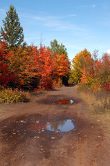 Obraz premium Backroad in Upper Penninsula Michigan