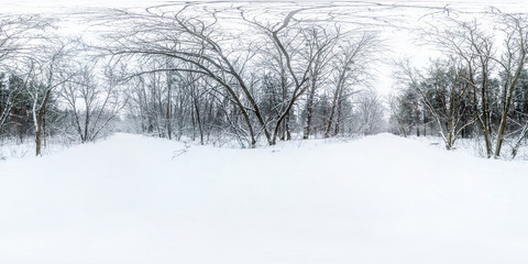 Winter full spherical 360 degrees angle view panorama road in a snowy forest with gray pale sky in...