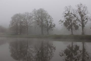 La nature en hiver