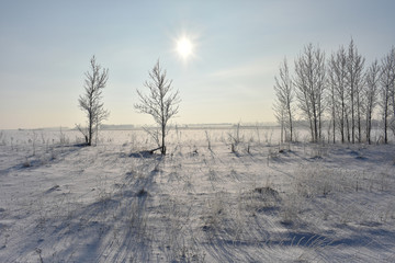Winter landscape on a sunny day.