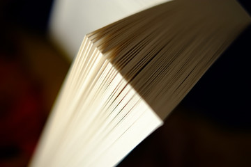 Buch mit vielen Seiten