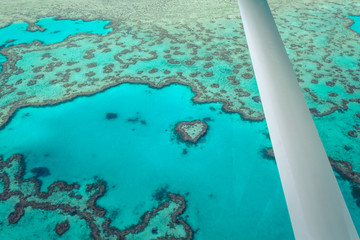 Plane view of the famous Heart Reef (Great Barrier Reef) at the coastline of Airlie Beach near the Whitsunday Islands (Whitsunday Islands, Australia)