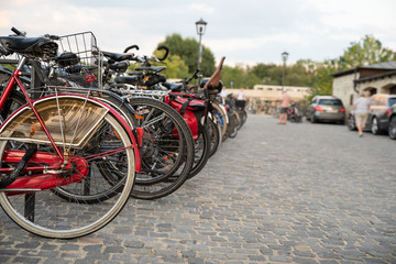 Parking for bicycles on the street. Rent a bike and walk around the city
