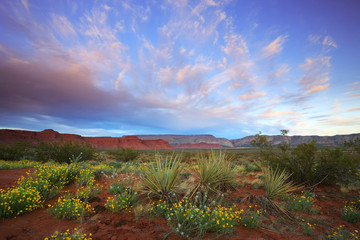 Desert Spring Sunset in Warner Valley, Utah nearby St George