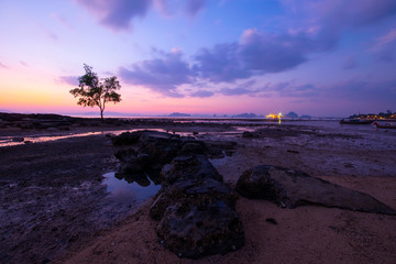 Seascape  shoreline sunset landscape view with tree and beach at dusk in Krabi, Thailand.