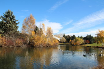 Beauty On The Lake, William Hawrelak Park, Edmonton, Alberta