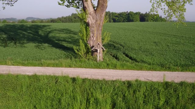 cross on road under tree aerial fly away bavaria germany summer day