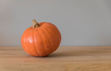 single orange pumpkin