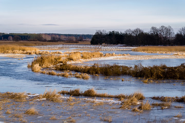 Zima w dolinie Górnej Narwi, Podlasie, Polska