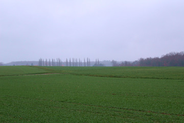 Obraz premium Felder