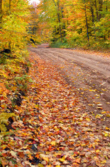 Fall Surrounds Dirt Lane in Michigan