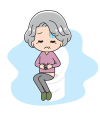 The grandmother sitting on a toilet bowl