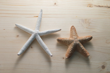 Dos estrellas de mar/ Dos estrellas de mar, aisladas sobre fondo de madera.