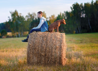 Young owner with a dog for a walk in the field