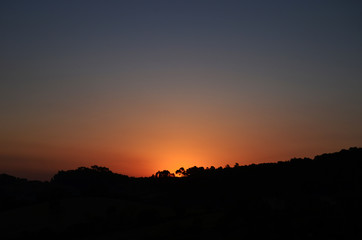 Fototapeta premium Morning 