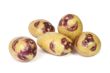 Pommes de terre Blue Belle