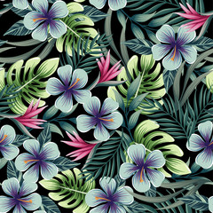 Seamless colorful pattern with tropical plants and flowers on a black background