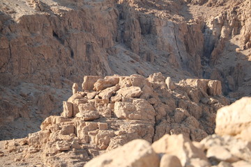 Dead Sea Israel