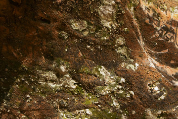 Colorful sandstone wall fragment.