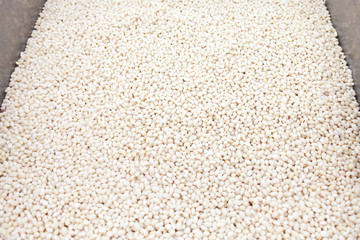 close up of rice grains