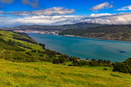 New Zealand, South Island. Otago Harbour and slope of Otago Peninsula, Dunedin city in the backgroun 
