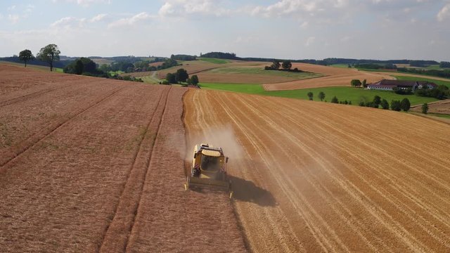 Aerial of a yellow combine harvester in a beautiful golden wheat field as it harvests on a bright sunny day in bavaria germany 
