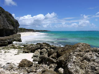 beautiful steep coast in Barbados