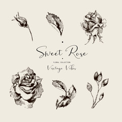 Vector vintage roses black and white floral greeting card, flowers