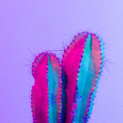 Neon cactus. Cactus minimal. Cactus fashion idea