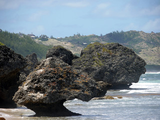 steep coast with big rocks in the sea - Barbados