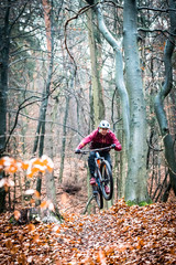 Sport extr&ecirc;me vtt de descente dans les bois en automne