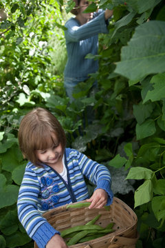 Chid with harvest of beans with mother in background