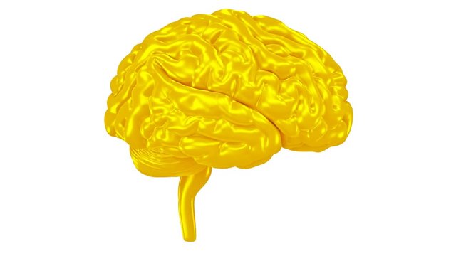 Rotating Gold Brain 3D Animation in Alpha