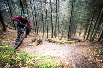 Naklejka premium Sport extrême vtt de descente dans les bois en automne