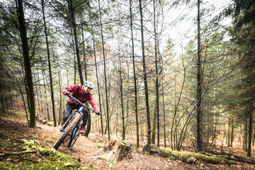 Sport extrême vtt de descente dans les bois en automne