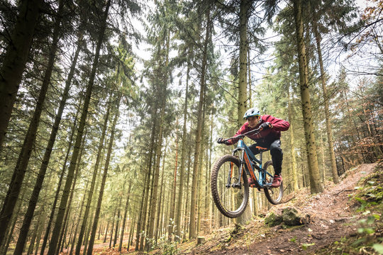 Sport extr&ecirc;me vtt de descente dans les bois en automne