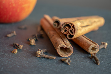 Cinnamon sticks and cloves on dark textured background