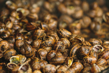 Catalan gastronomy. Cargols a la Llauna: Typical dish from Lleida, Catalonia - Cataluña (Spain)