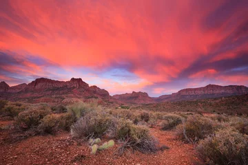 Selbstklebende Fototapeten Hochrot Amazing sunset in Zion National Park, Utah  © Maria Jeffs
