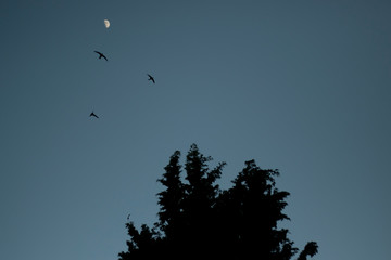 Nature sky