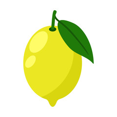 Lemon Citrus Illustration - Whole lemon with stem and leaf isolated on white background