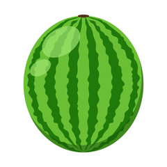 Watermelon Illustration - Whole watermelon isolated on white background
