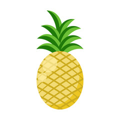 Pineapple Illustration - Pineapple isolated on white background