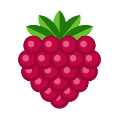 Raspberry Illustration - Raspberry isolated on white background