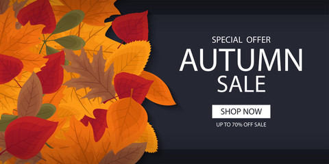 Autumn sale banner template with lettering. Background layout decorate with red, yellow and brown leaves for shop. Modern realistic design. Beautiful wallpaper. Flat style vector illustration.