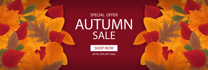Autumn sale banner template with lettering. Background layout decorate with red, yellow and brown leaves for shop. Modern realistic design. Beautiful wallpaper. Flat style vector illustration. - obrazy, fototapety, plakaty