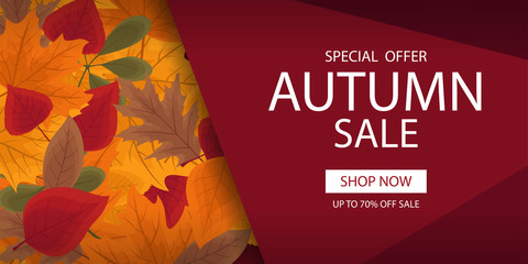 Autumn sale banner template with lettering. Background layout decorate with red, yellow and brown leaves for shop. Modern realistic design. Beautiful wallpaper. Flat style vector illustration. - obrazy, fototapety, plakaty